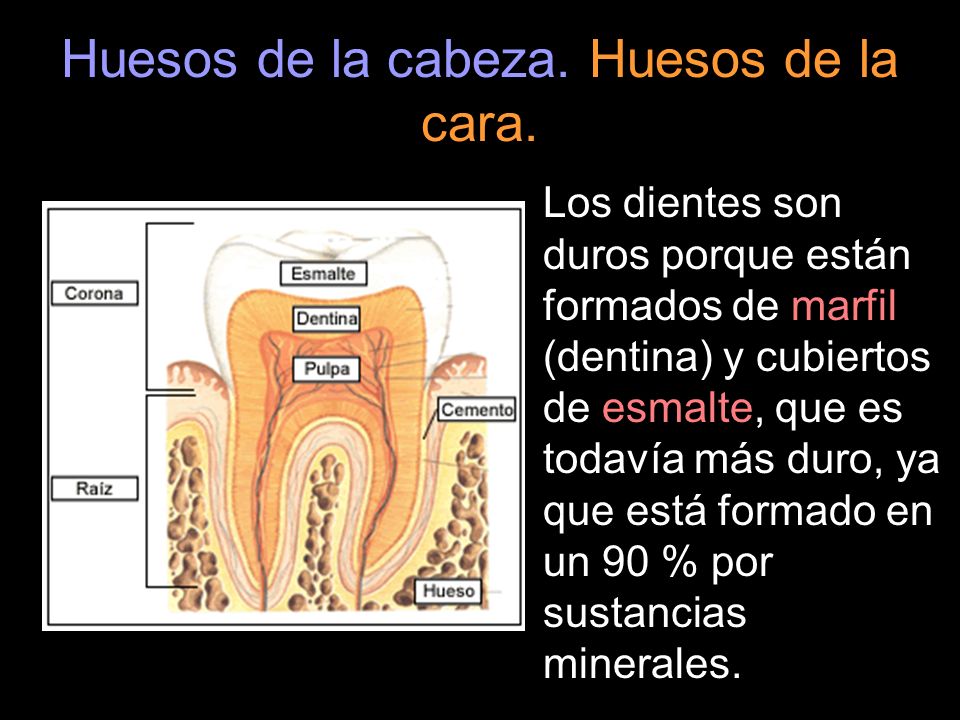 Las quejas a la hernia sheynogo del departamento de la columna vertebral
